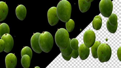 Green Mango Floating