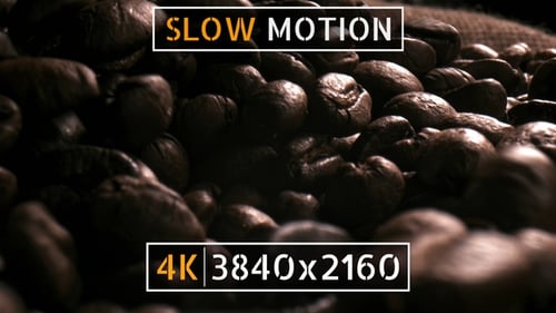 Coffee Beans