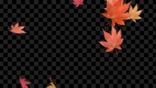 Autumn Leaves Overlays