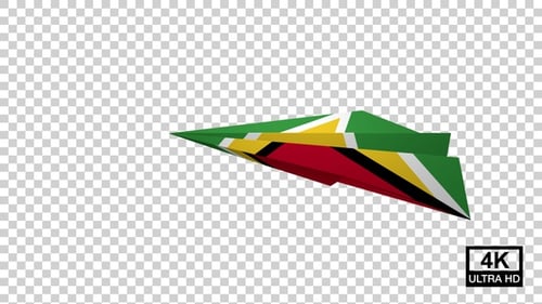 Avion en papier du drapeau de la Guyane V2