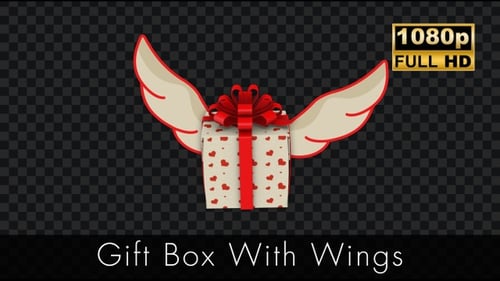 Coffret cadeau avec ailes