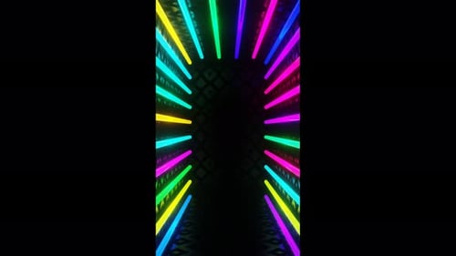 Neon shimmers of holiday boxing for the holidays