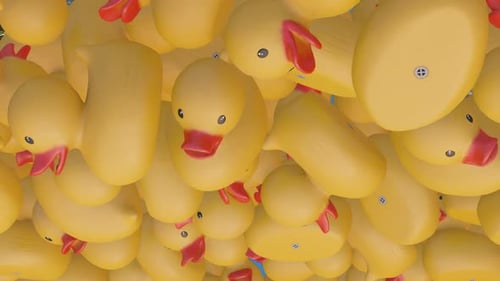 Floating Rubber Ducks Animated Transition