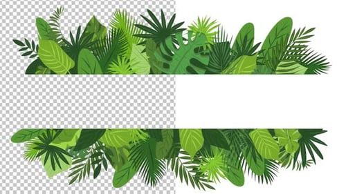 Tropical Leafs Frame Alpha