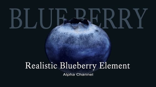 Slowly Rotating Blueberry Freezing on Black Background
