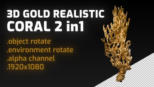 3D Realistic Gold Coral Beach Sea Seamless Loop 2 In 1