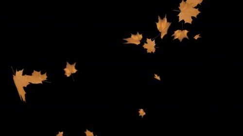 Coloridas hojas de arce abstractas Hojas de otoño balanceándose en animación otoñal.