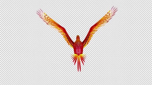 Phoenix Bird - Rouge vif - Boucle volante - Vue arrière - Canal Alpha
