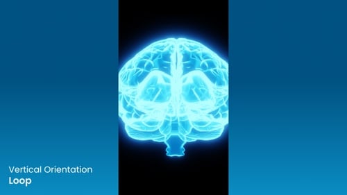 Glowing Wireframe Human Brain Rotation Loop