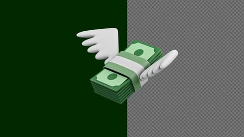 Money Fly Animation