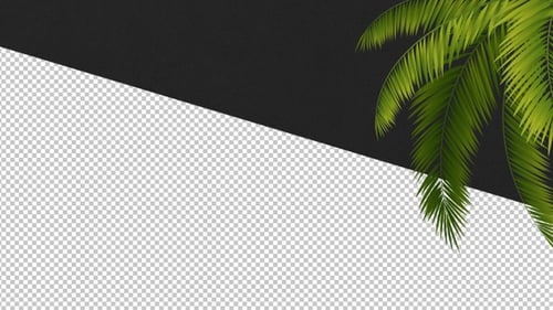 Tropical Palm Tree Leaves Swaying Nature Element Animation