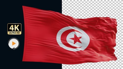 Realistic Waving Tunisia National Flag Animation