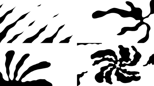 Liquid Transition