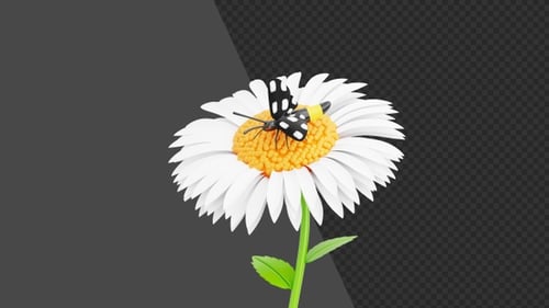 3D Animation of Black moth | Alpha Channel