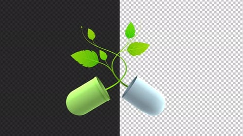 Growing Green Plant Sprouts from Medical Capsule