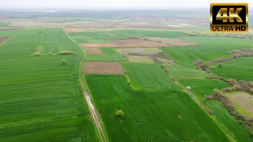 Aerial View of Expansive Green Agricultural Fields