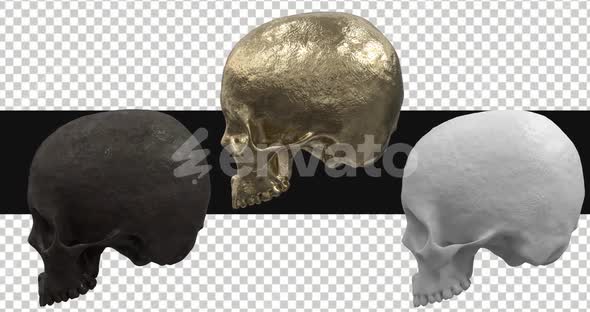 Pack Of 3 Skulls Rotating On Alpha Loop, Elements Motion Graphics ft ...