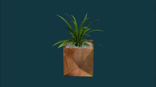 Pflanze v2