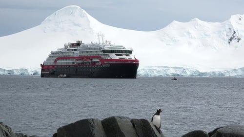 Penguin Standing Before Cruise Ship in Antarctica