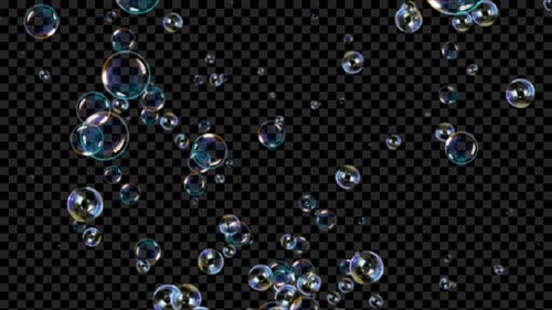 Bucles Rising Seamless Loop Alpha V6