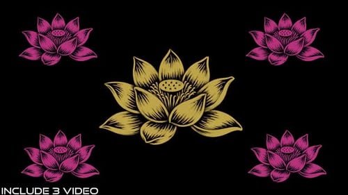Animated Decorative Lotus Flowers Blooming Pack