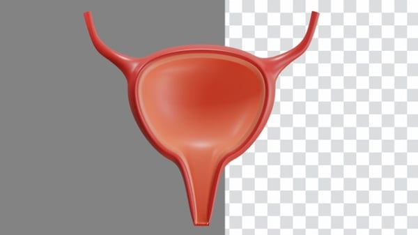 Animated Bladder Icon Showing Urinary Incontinence, Backgrounds Motion ...