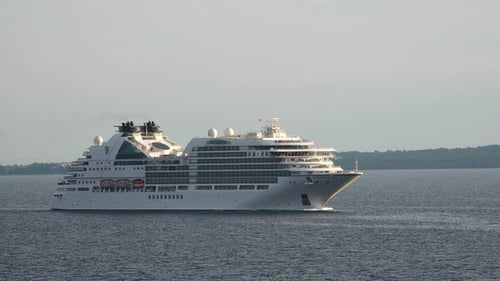 Un grand bateau de croisière glisse en douceur sur des eaux tranquilles, entouré d'une végétation luxuriante.