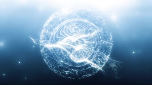 Digital Network Sphere Loop