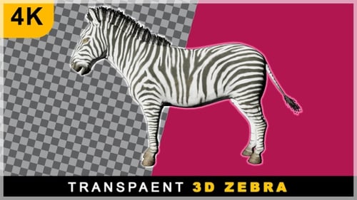 Cartoon Style 3D Render Zebra Running On Transparent Background