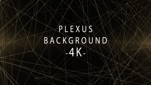 Abstract Network Lines Background Plexus Animation