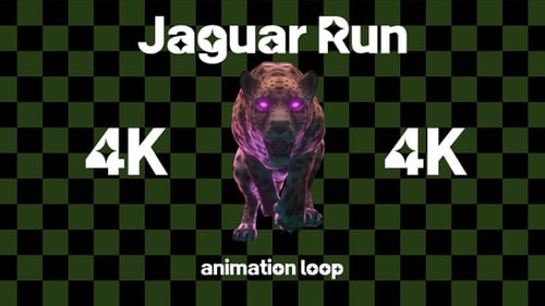 Jaguar Run Front View 4K