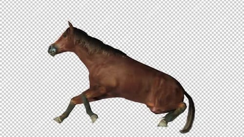 Horse Wake Up Left View