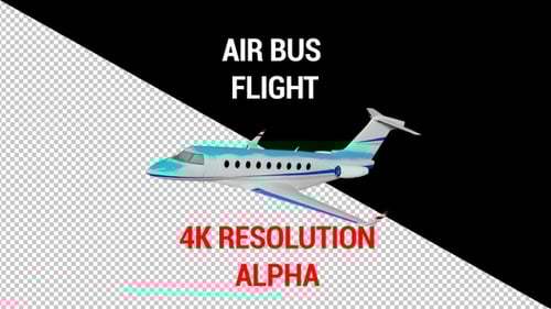 Animated Airplane Flying Across Screen Transition