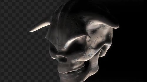 Animação de caveira 3D escura Ossos brancos