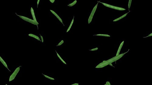 Falling Peas
