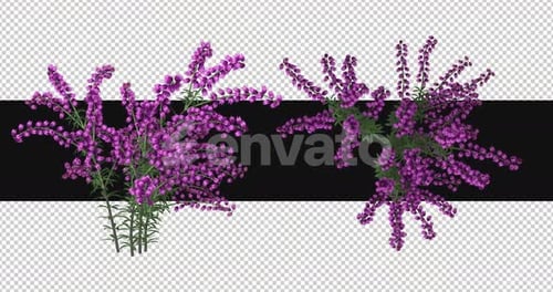 Pack Of 2 Thimble Moving In The Wind On Alpha Loop