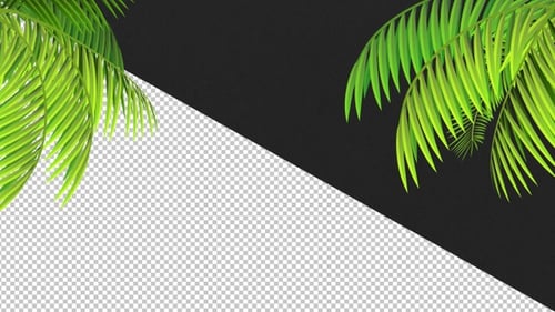 Animated Tropical Palm Leaves Frame