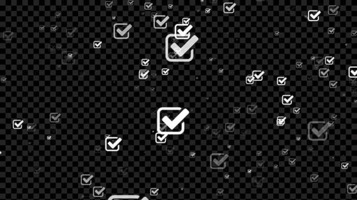 Check Mark Icon Flying Alpha Loop, Overlays Motion Graphics ft. check ...
