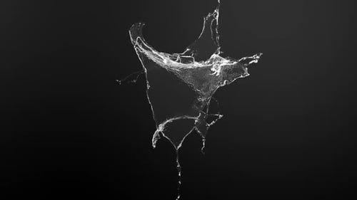 Dynamic Water Splash Reveal Element