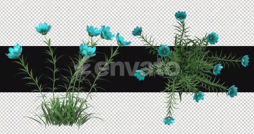 Pack Of 2 Wild Flowers Moving In The Wind On Alpha Loop