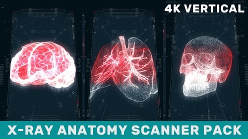 Paquete de escáner de anatomía de rayos X Parte 2