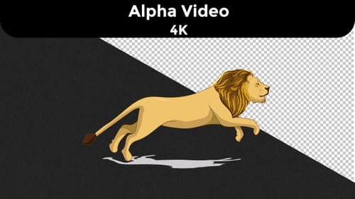 Lion Run Cycle Animation Sequence -4K