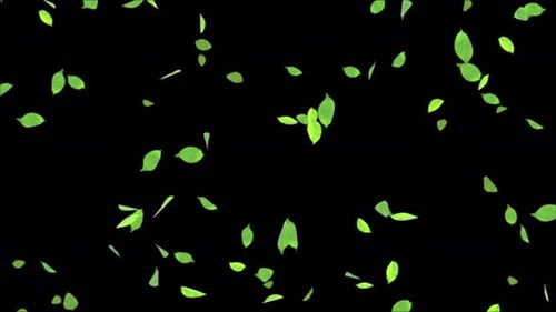 Beautiful Leaves falling down motion Graphic Slow motion Realistic 3D .
