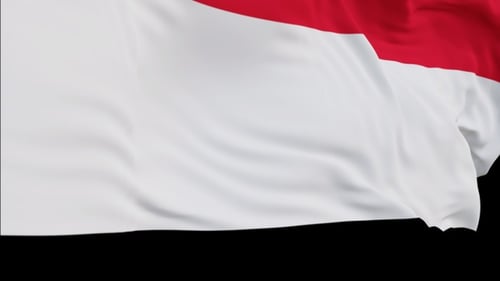 Fluid Vertical Waving Flag Alpha Loop Animation