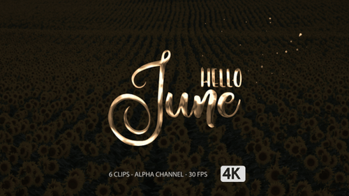 Animationstext „Hallo Juni“