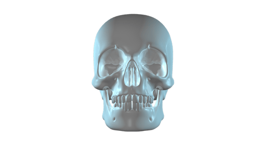 3d animation of Human Skull for Medical Anatomy Concept with alpha channel