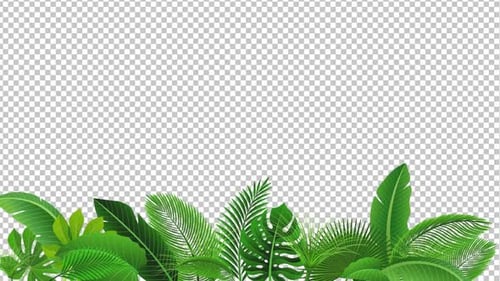 Tropical Leaves Animation