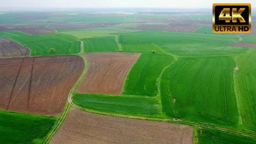 Aerial View of Rolling Green Farm Fields and Roads