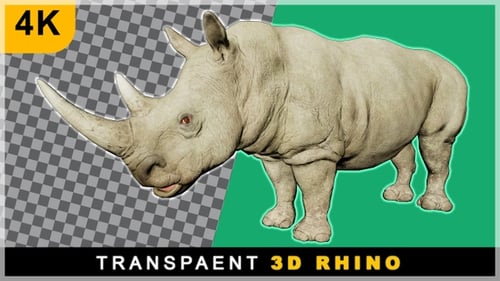 3D Animated White Rhinoceros Walk Cycle with Alpha Channel