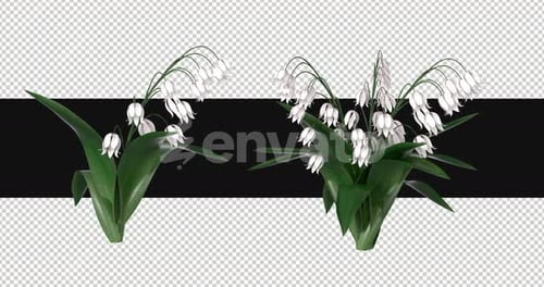 Pack Of 2 Bell Flowers Moving In The Wind On Alpha Loop